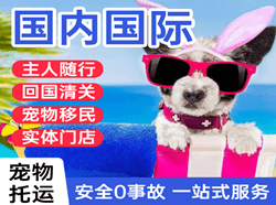 奇台江布拉克航空货运国际宠物托运 【国